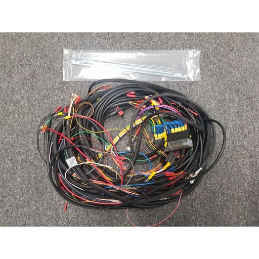 [C2921105] Chesil Wiring Loom